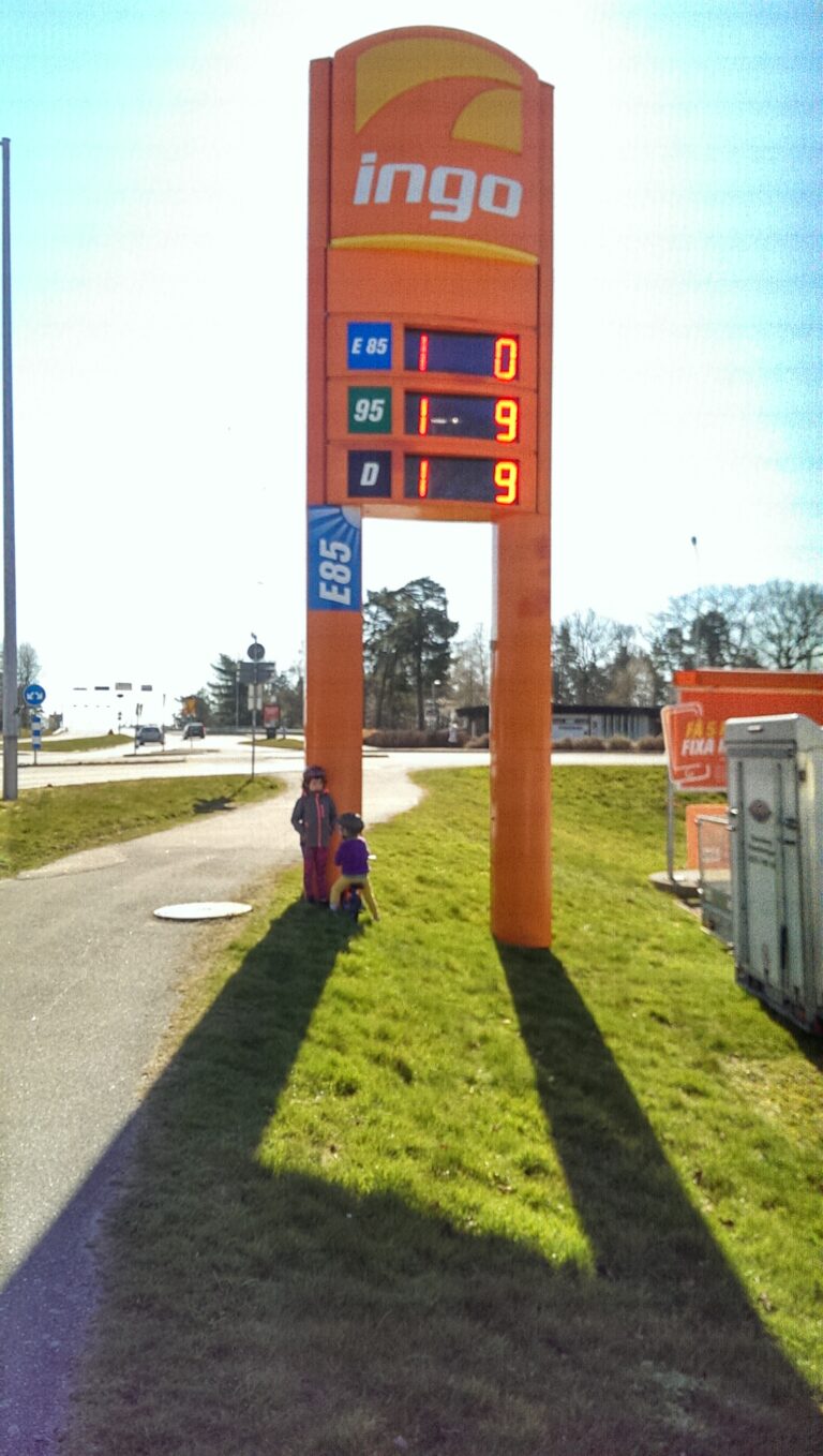 IMAG5255
